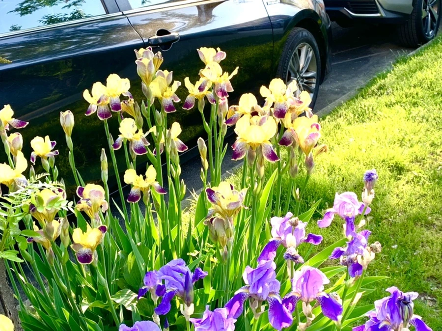 IMG_3364.jpg?type=w966