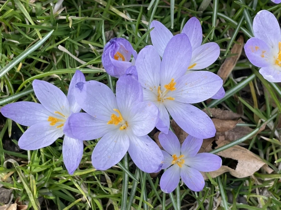 IMG_5338.jpg?type=w966