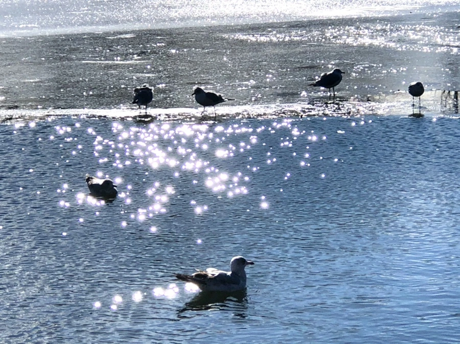 IMG_6799.jpg?type=w966