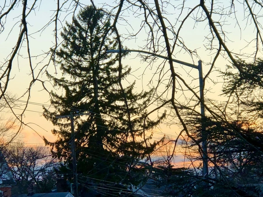 IMG_3053.jpg?type=w966