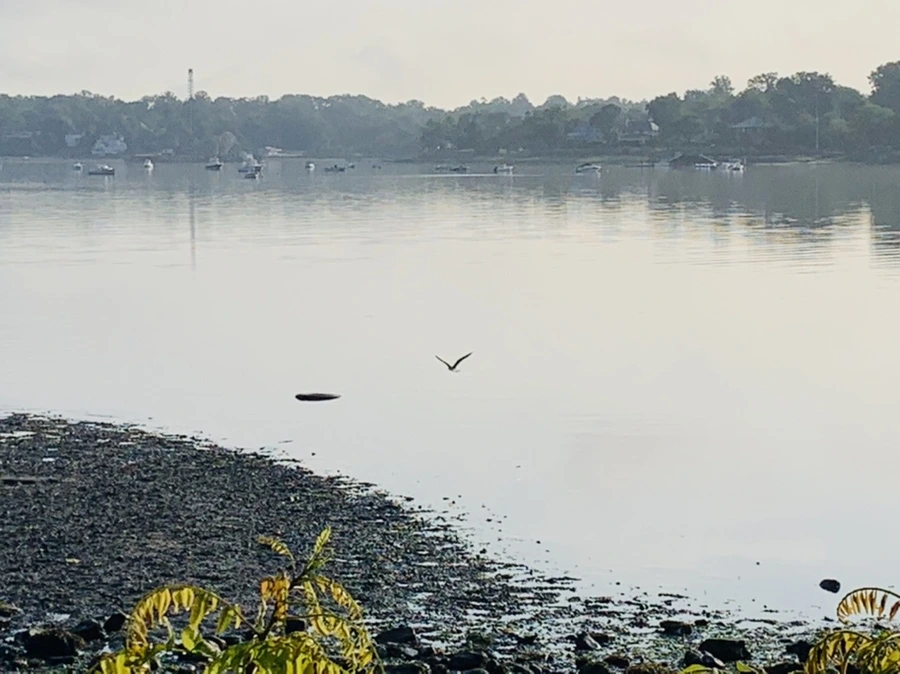 IMG_4369.jpg?type=w966