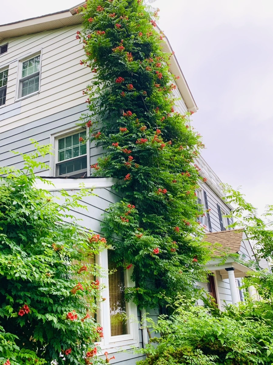 IMG_7128.jpg?type=w966