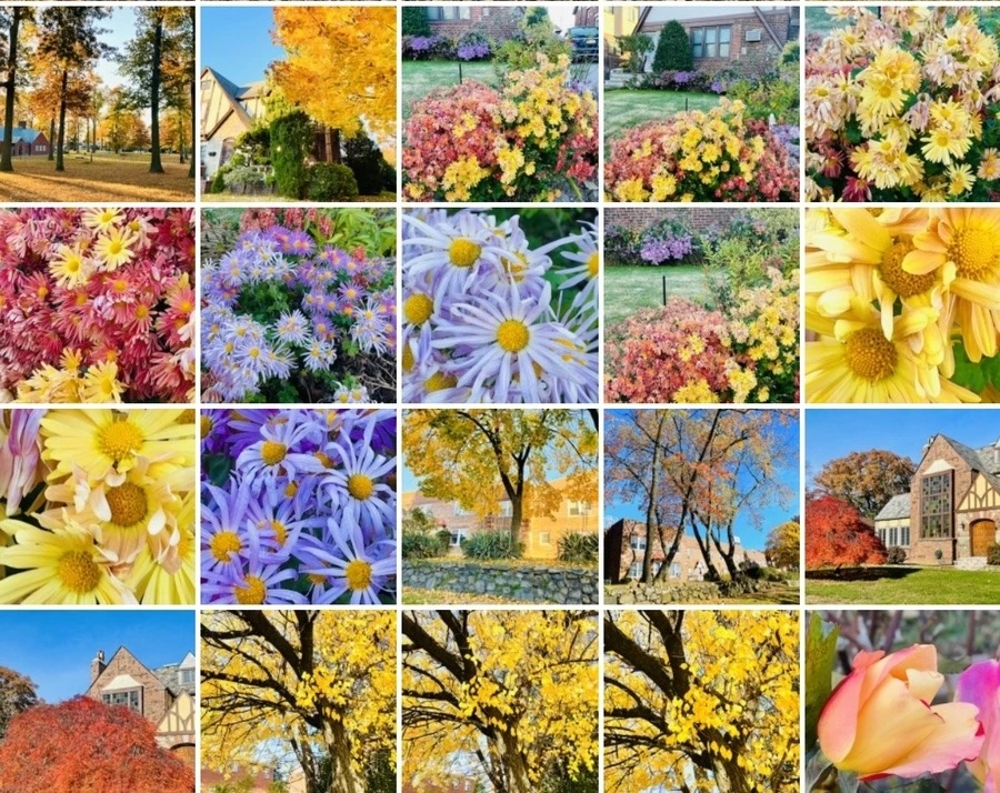 XdOi0PWZK9niiTnTn2OlNAAFcYU