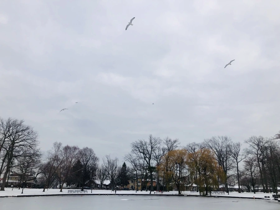 IMG_7571.jpg?type=w966