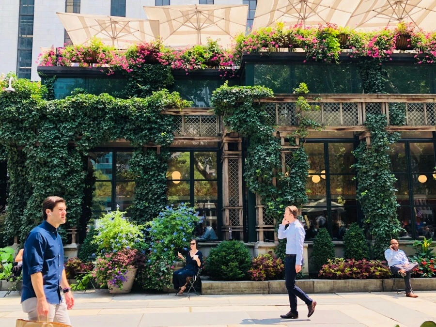 IMG_1460.jpg?type=w966