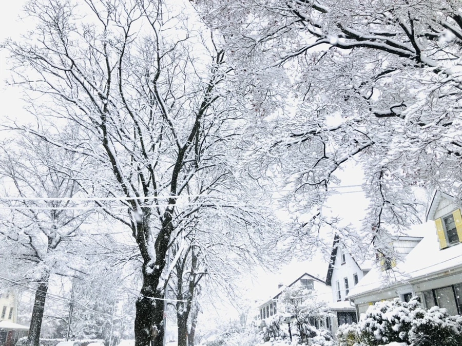 IMG_0983.jpg?type=w966