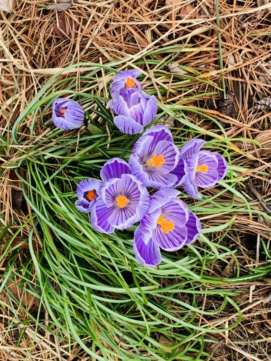 IMG_3791.jpg?type=w966