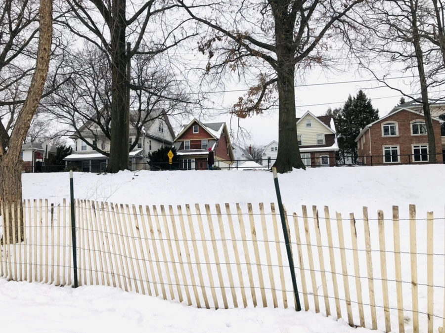 IMG_2717.jpg?type=w966