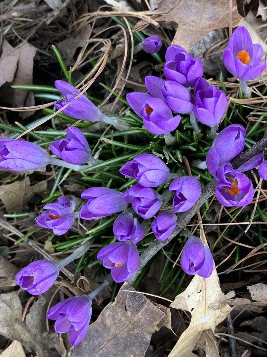 IMG_9711.jpg?type=w966