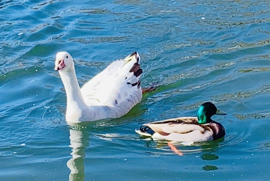 bEqu50tkpF1FJlgD4j6lZK6nxAg