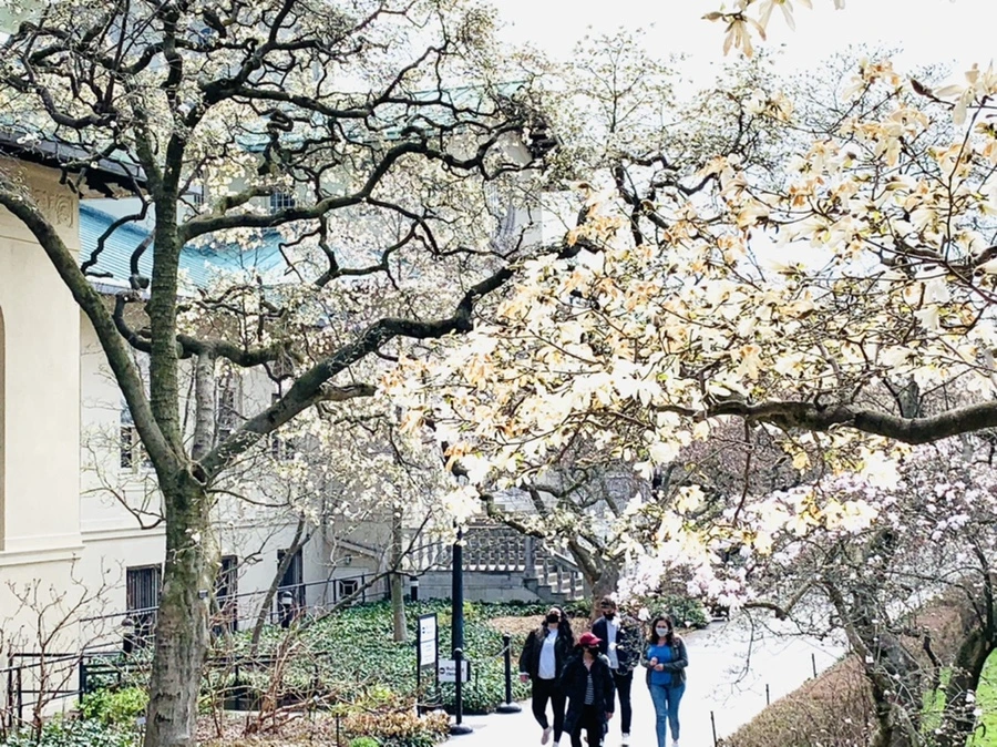 IMG_7299.jpg?type=w966