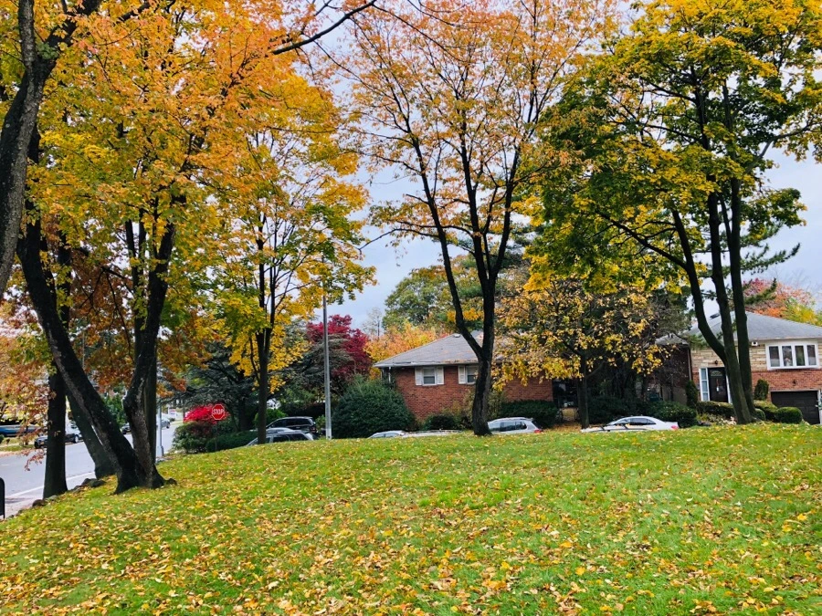 IMG_7434.jpg?type=w966