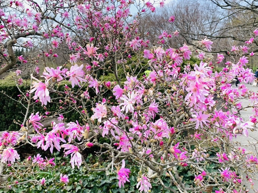 IMG_7245.jpg?type=w966