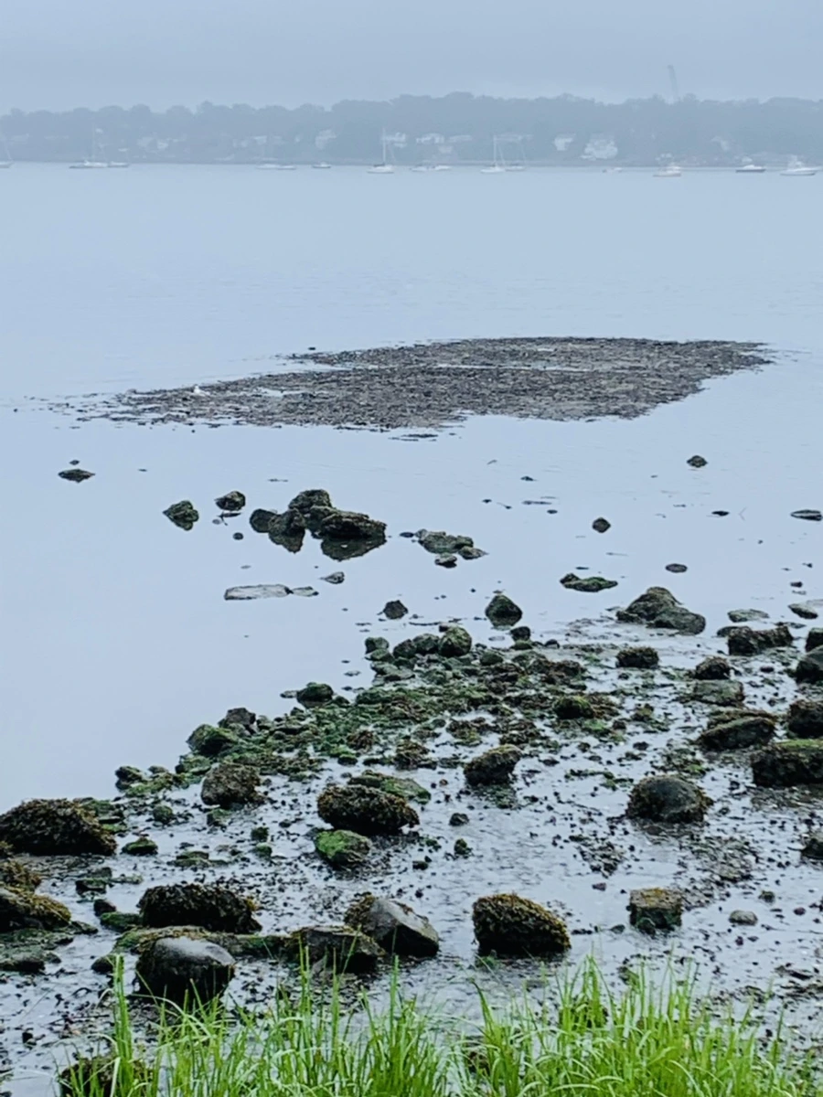 IMG_4750.jpg?type=w966