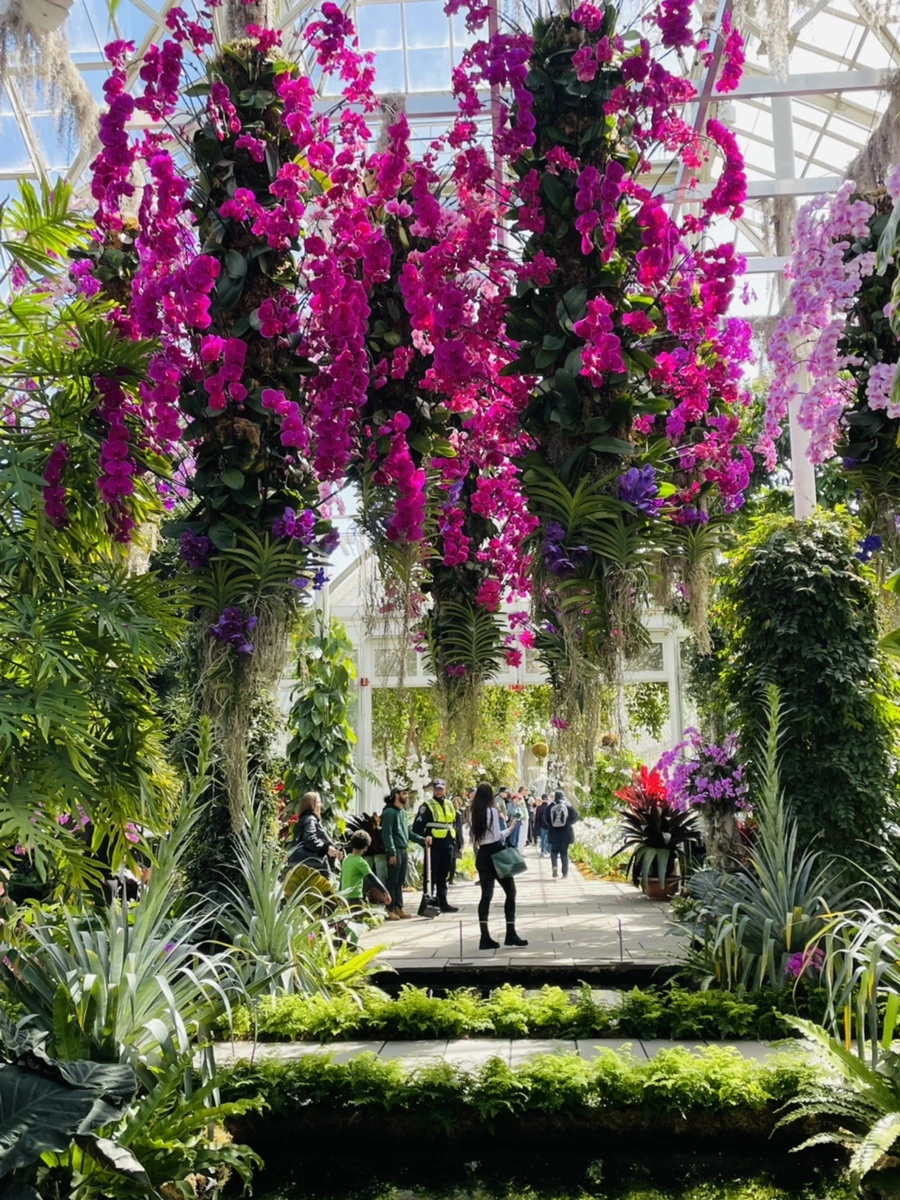 IMG_6476.jpg?type=w966