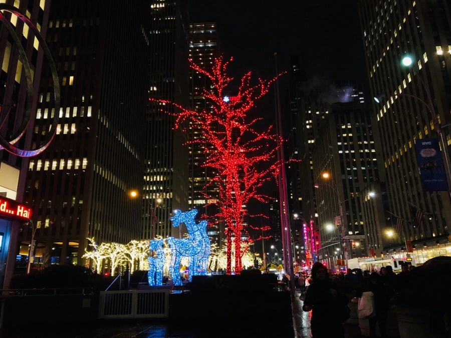 IMG_8181.jpg?type=w966