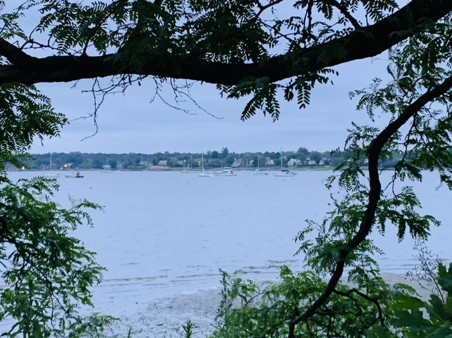 IMG_6766.jpg?type=w966