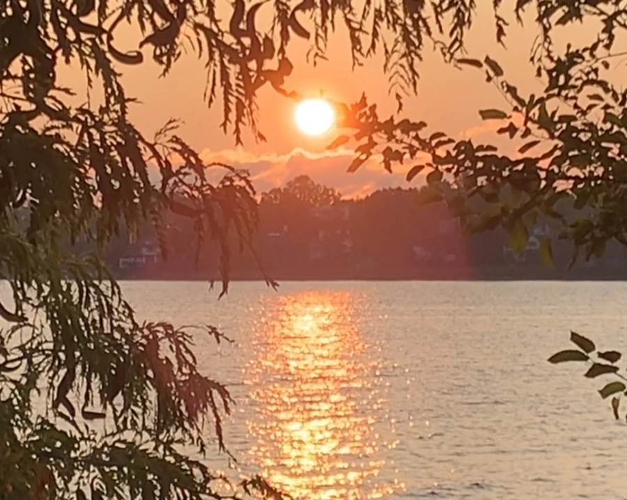 IMG_5501.jpg?type=w966