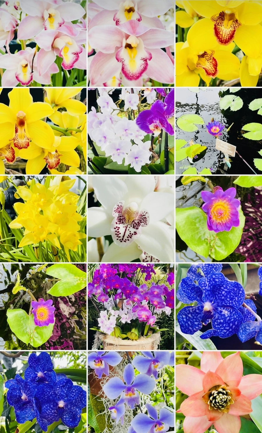 IMG_4694.jpg?type=w966