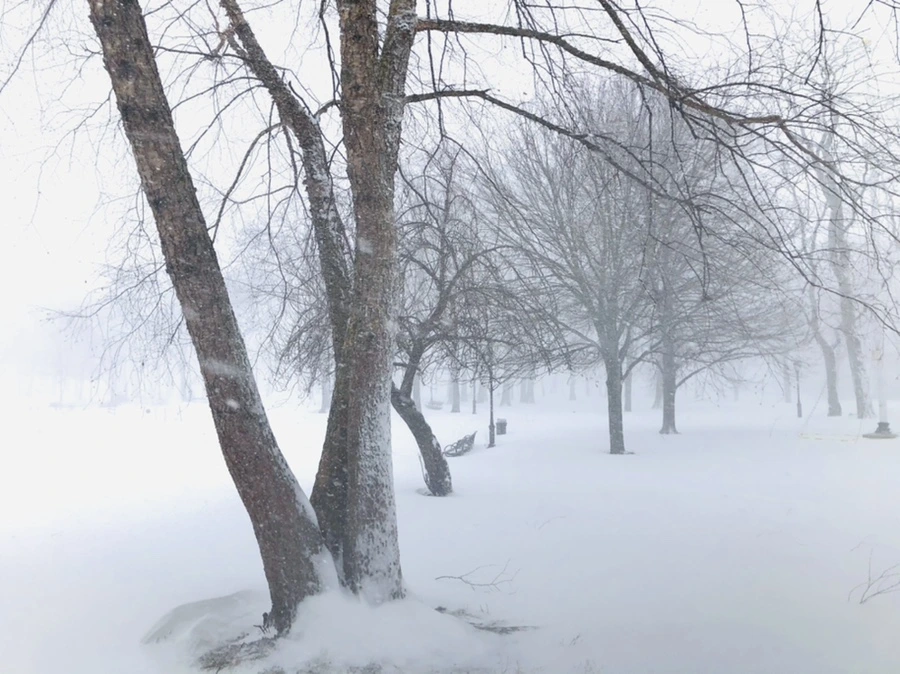 IMG_8804.jpg?type=w966