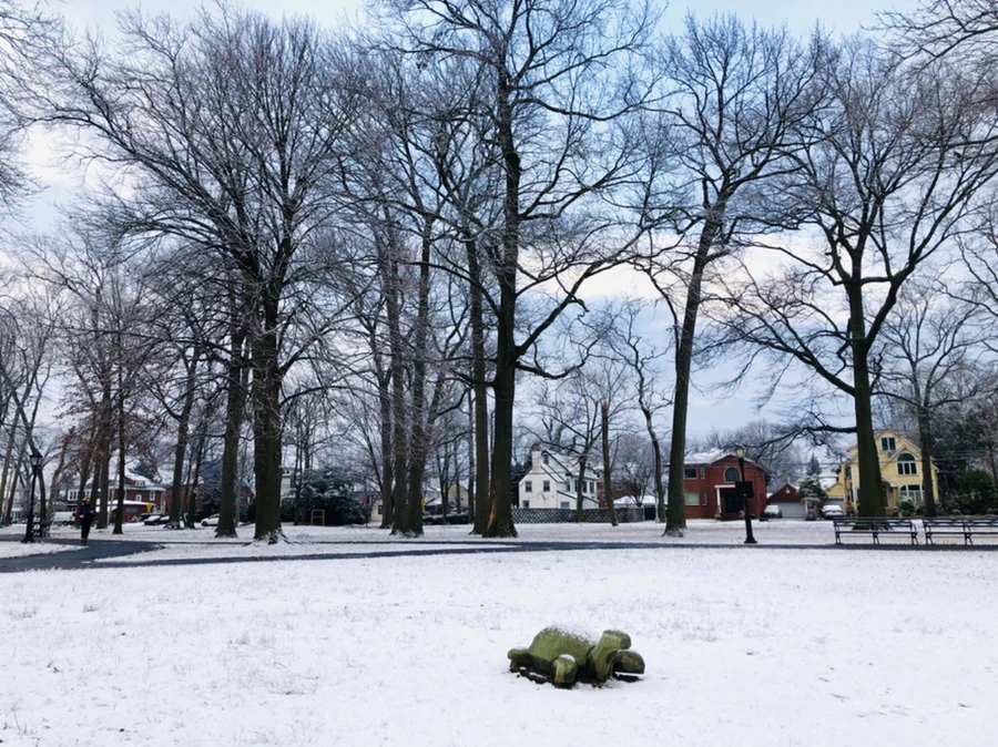 IMG_4498.jpg?type=w966