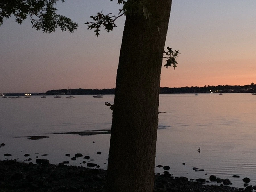 vPfMYkKMlrnbDGym7t6nDXJRfxI