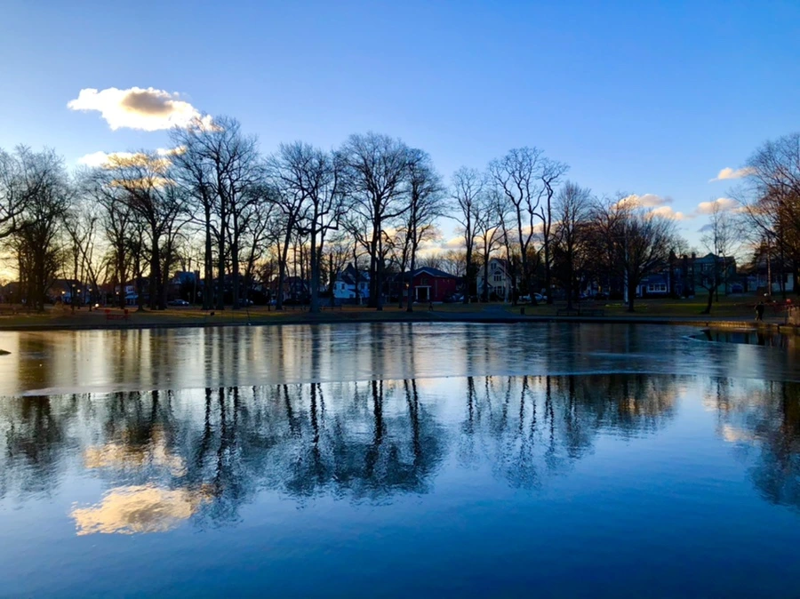 IMG_5182.jpg?type=w966