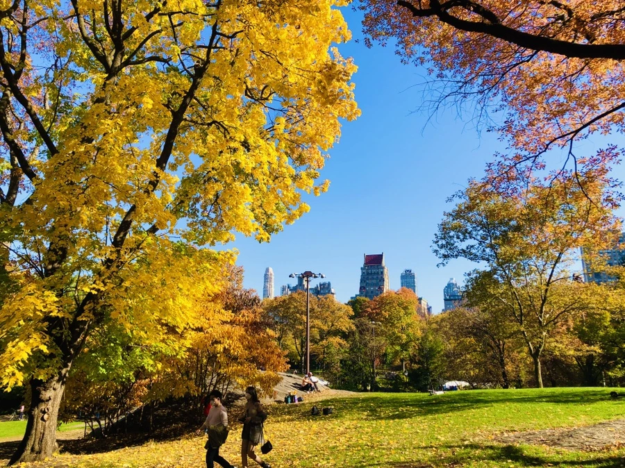 IMG_3798.jpg?type=w966