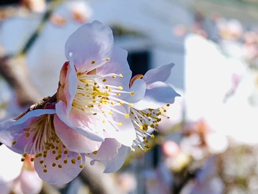 IMG_1347.jpg?type=w966