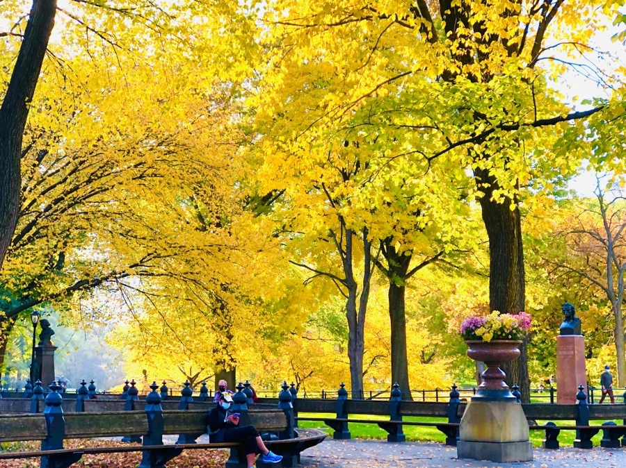 IMG_3549.jpg?type=w966