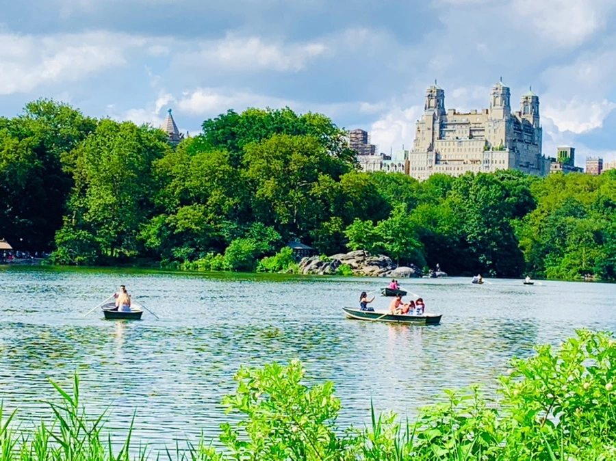 IMG_3427.jpg?type=w966