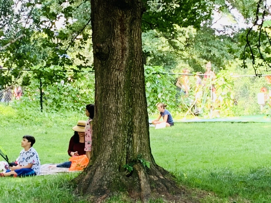 IMG_0614.jpg?type=w966