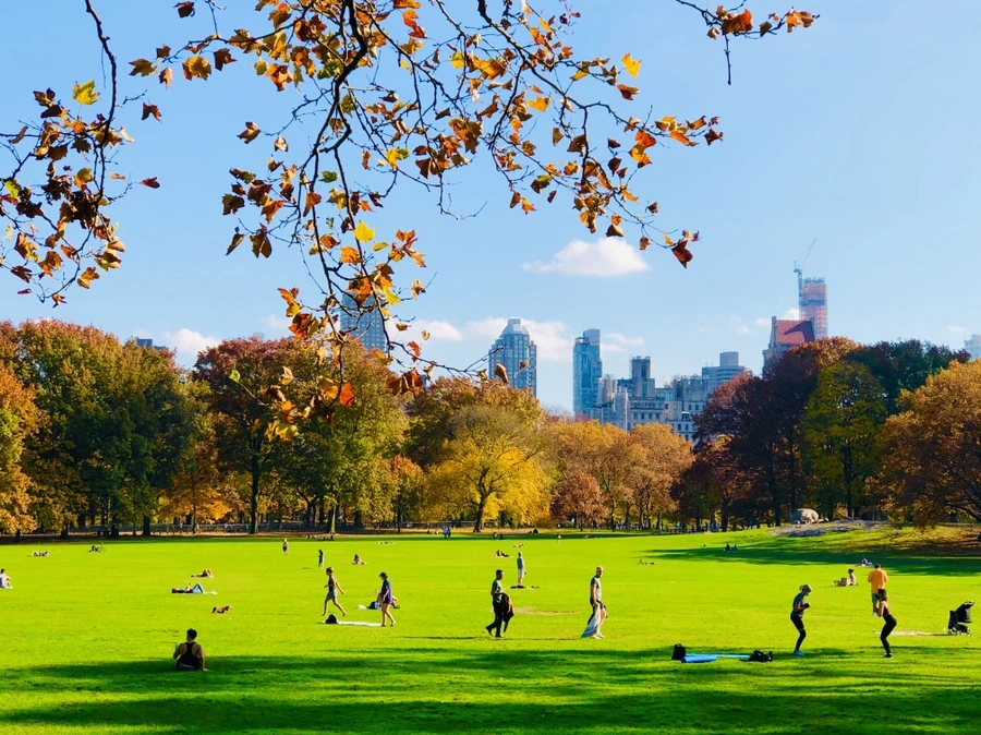 IMG_4364.jpg?type=w966