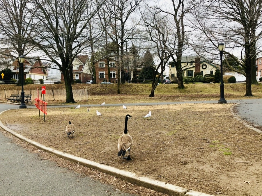 IMG_6446.jpg?type=w966