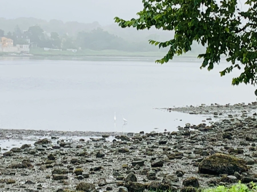 IMG_4722.jpg?type=w966