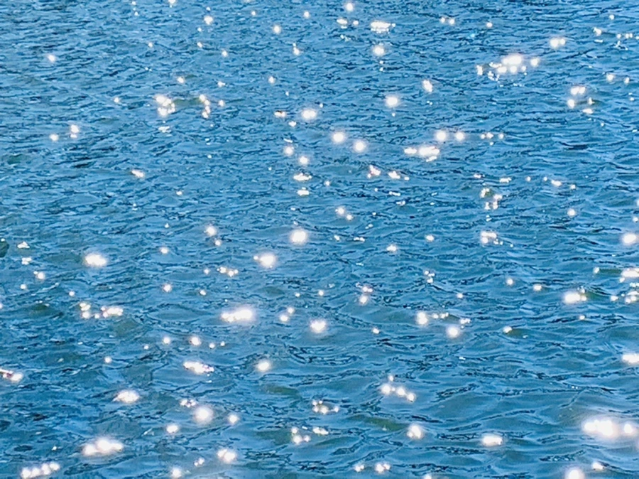 IMG_7557.jpg?type=w966