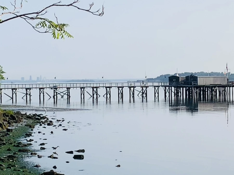 IMG_5879.jpg?type=w966