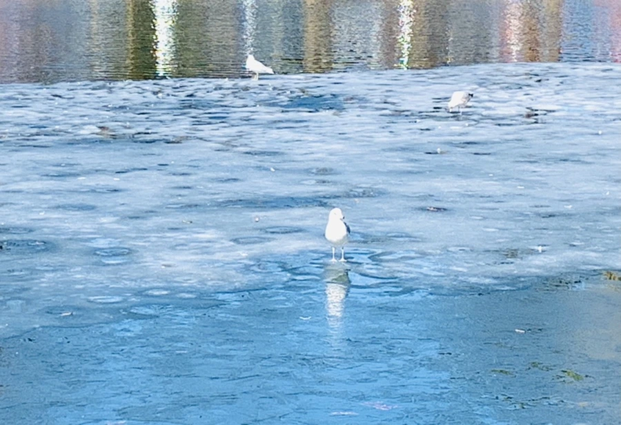 IMG_6976.jpg?type=w966