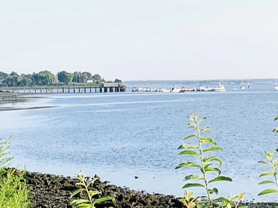 IMG_9850.jpg?type=w966