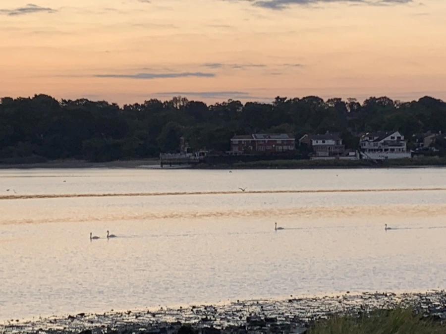 IMG_8772.jpg?type=w966