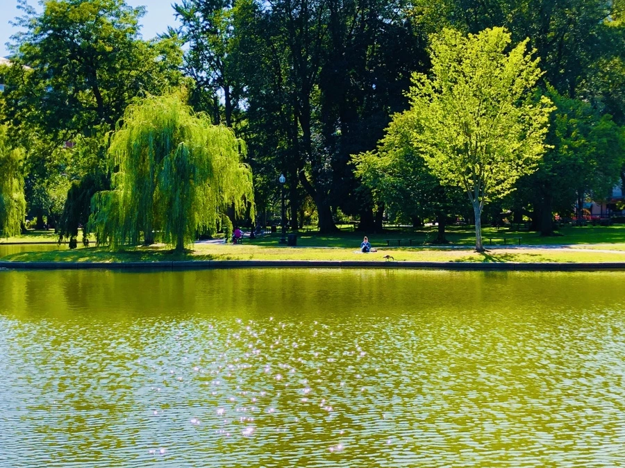 IMG_0449.jpg?type=w966