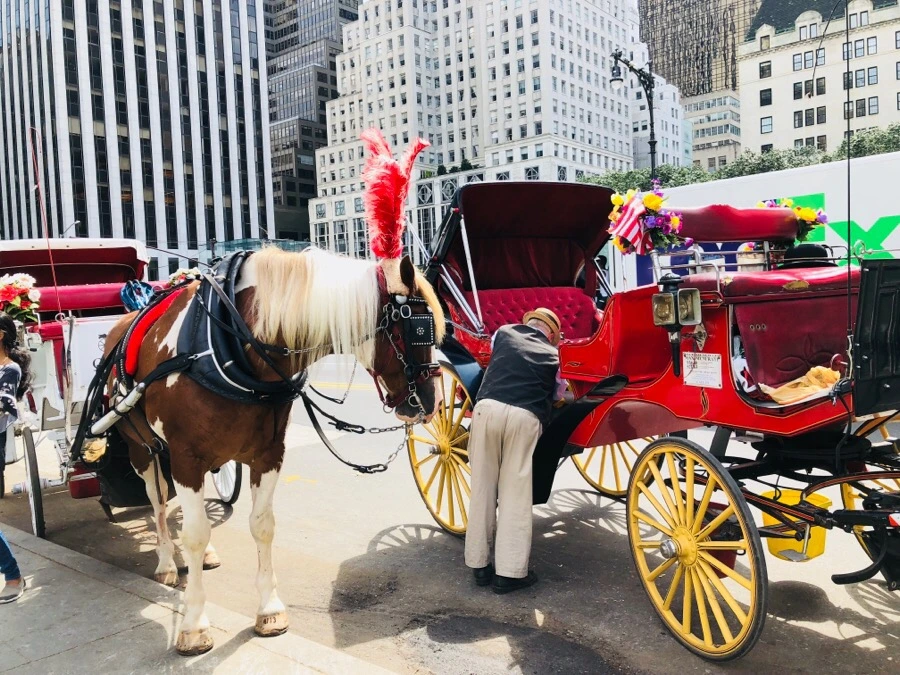 IMG_3713.jpg?type=w966