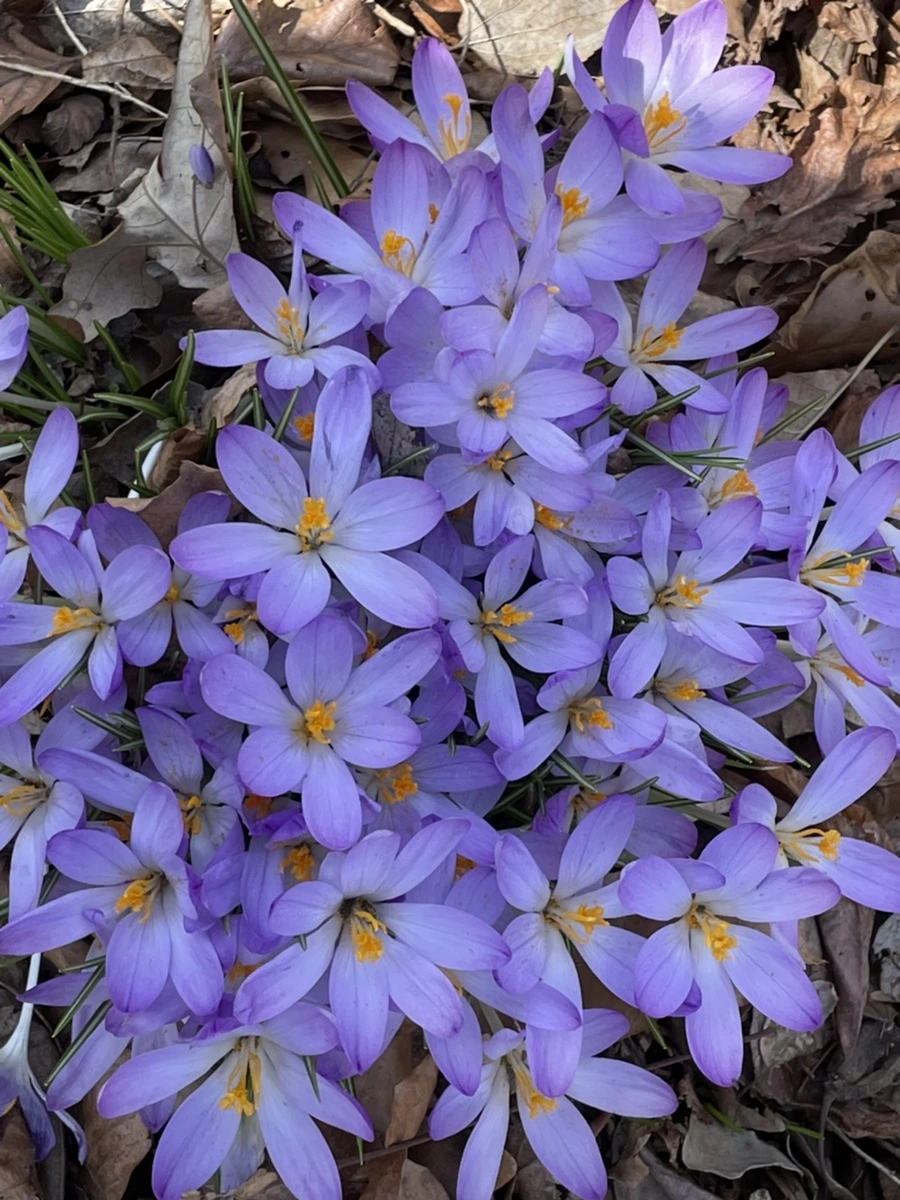 IMG_5344.jpg?type=w966