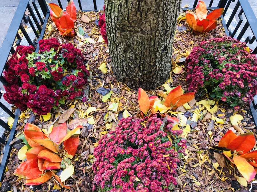 IMG_4958.jpg?type=w966