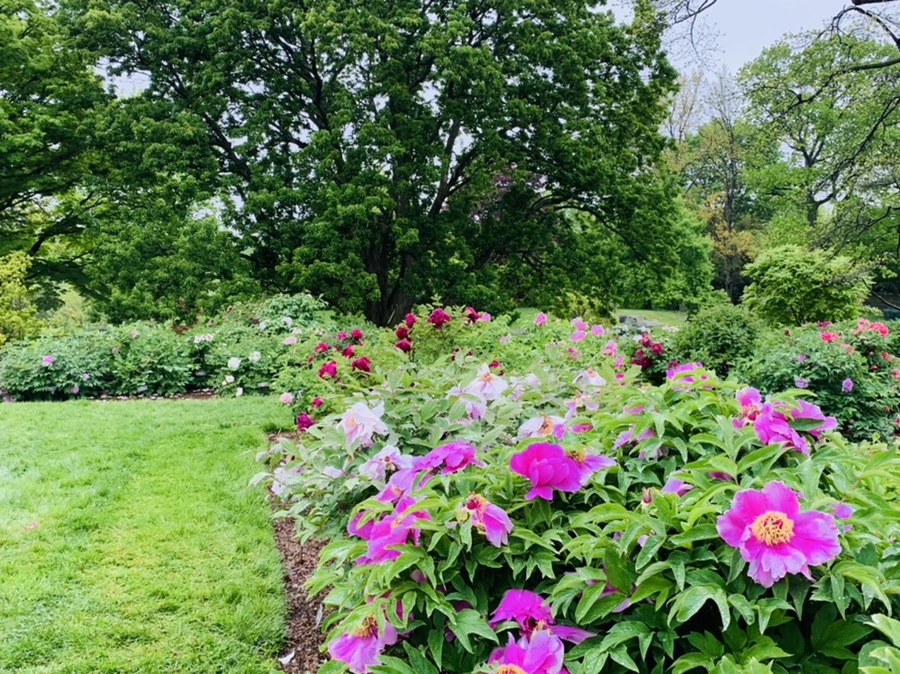 IMG_9970.jpg?type=w966