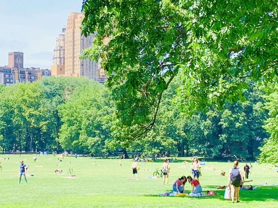 IMG_4988.jpg?type=w966