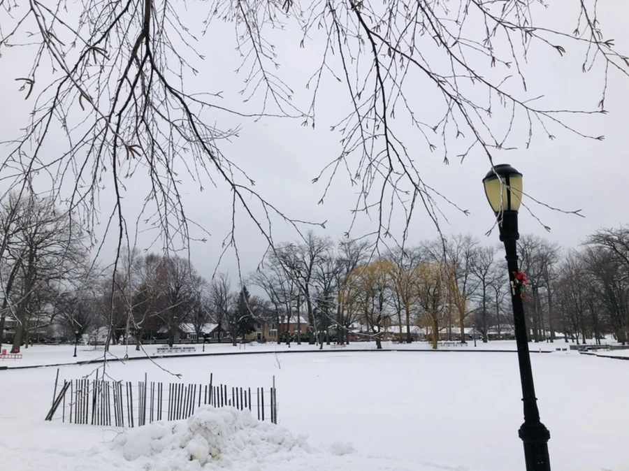 IMG_3616.jpg?type=w966