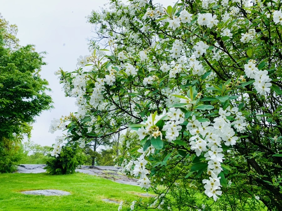 IMG_9851.jpg?type=w966