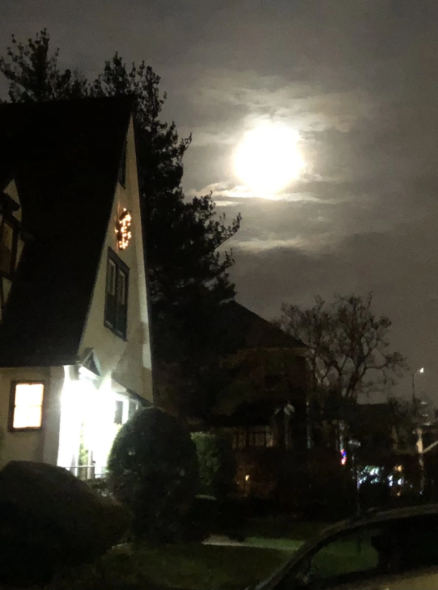 IMG_8572.jpg?type=w966