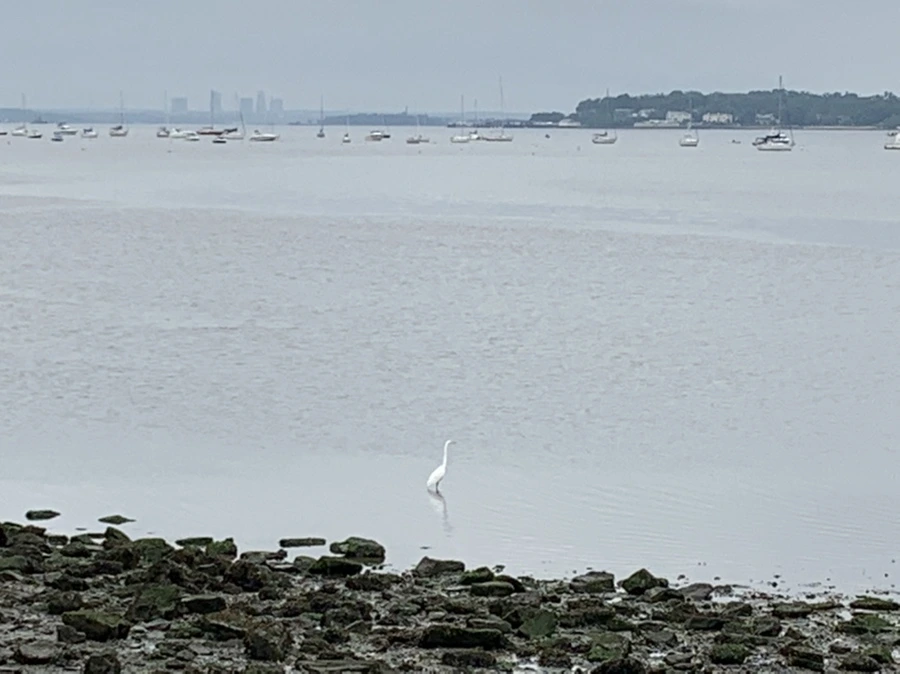 IMG_3628.jpg?type=w966